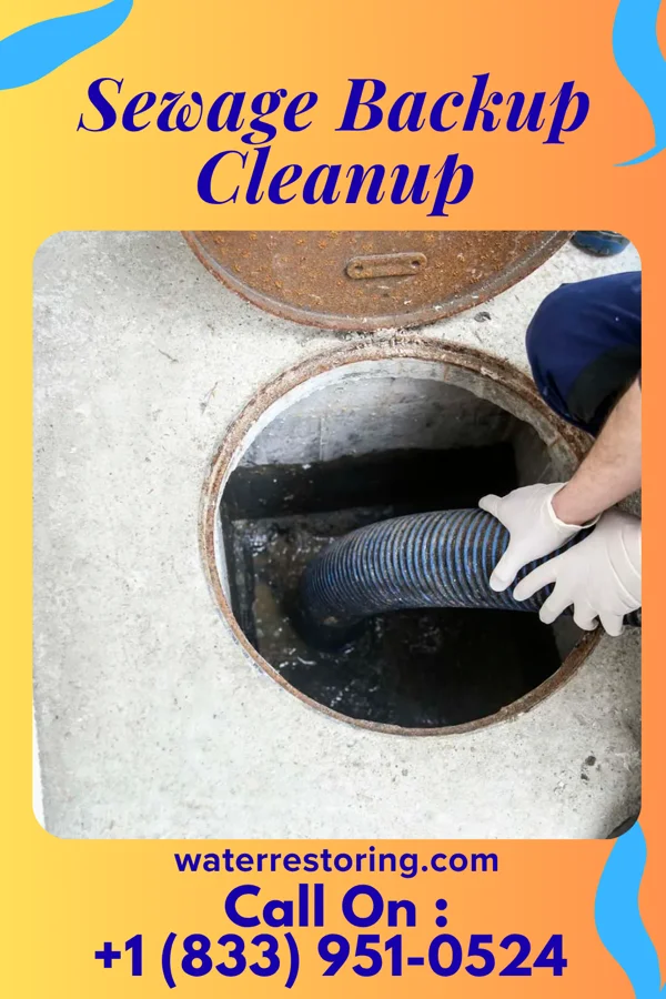 Sewage Backup Cleanup in Pondera Colony, MT